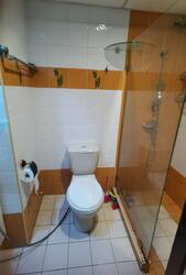 Blk 403B Fern Spring (Sengkang), HDB 5 Rooms #480386791